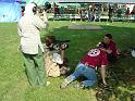 Dan Trout and Paul Nolan filming some whip information B